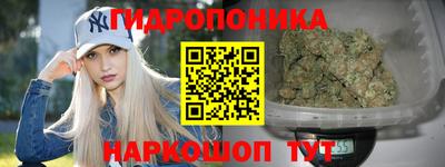 соль ск Партизанск