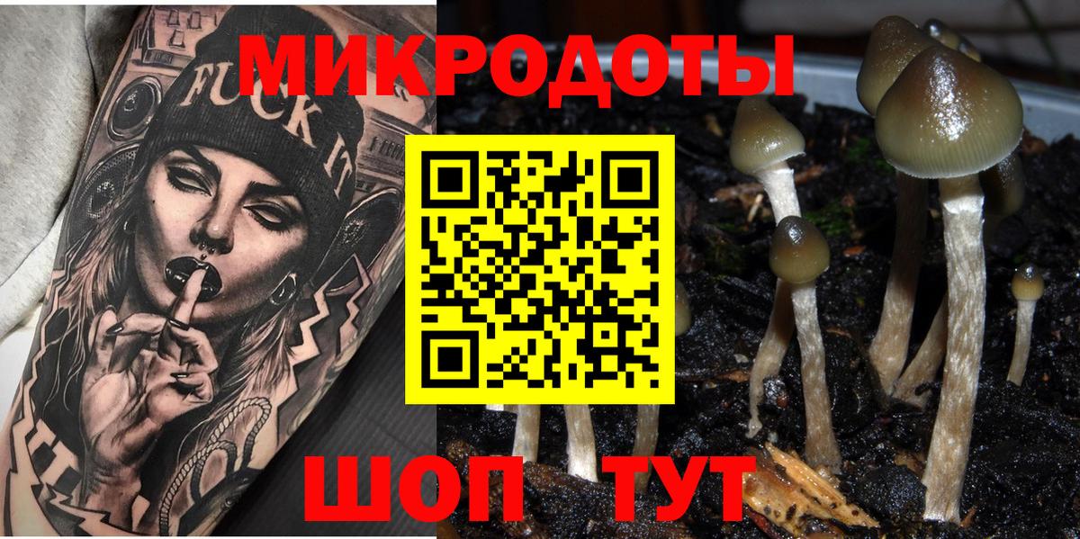 Белая Калитва  Псилоцибиновые грибы GOLDEN TEACHER  Вход с VPN  Галлюциногенные грибы мицелий 